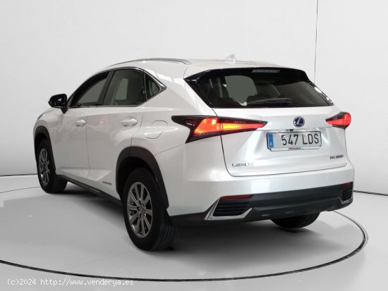 Lexus NX 300h - Asturias