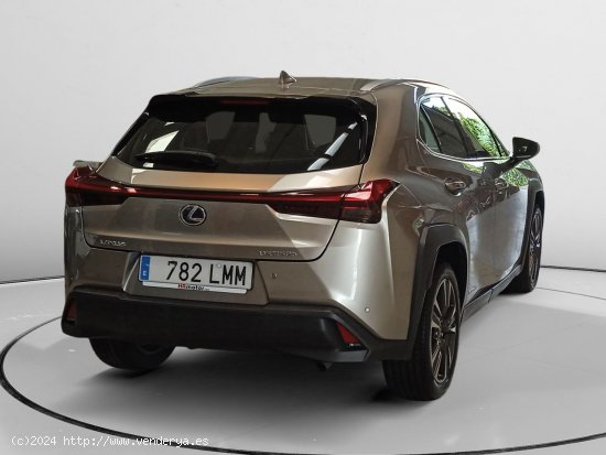 Lexus UX 250h - Pamplona