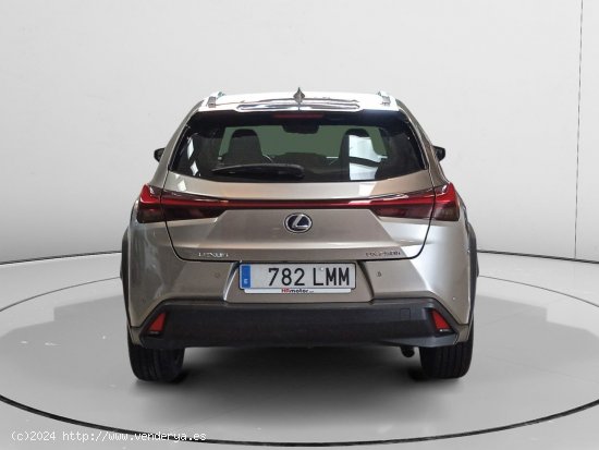 Lexus UX 250h - Pamplona