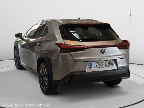 Lexus UX 250h - Pamplona