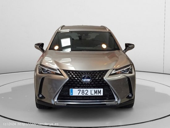 Lexus UX 250h - Pamplona