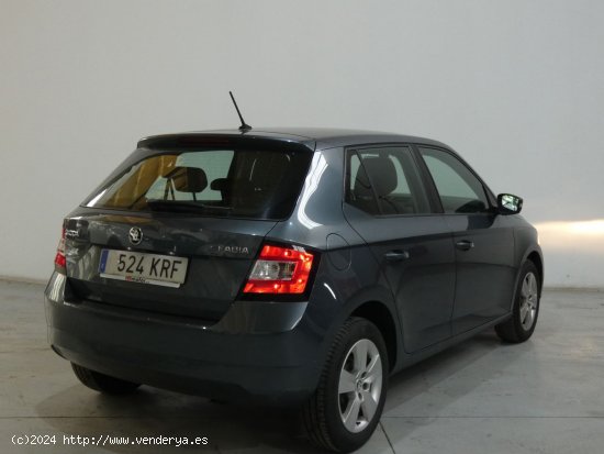 Skoda Fabia Ambition - Galdakao