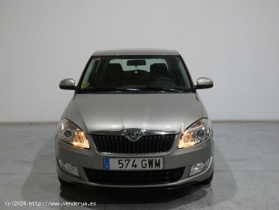 Skoda Fabia Young - Galdakao