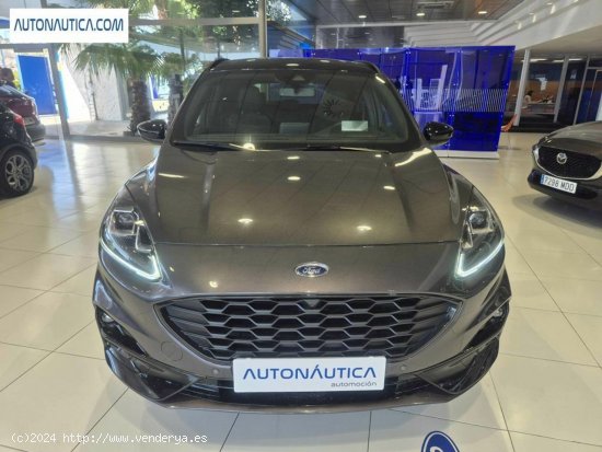 Ford Kuga 1.5 Ecoboost St-line X Fwd 150 - Villajoyosa