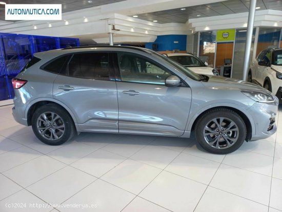 Ford Kuga 2.0 ecoblue mehv st-line fwd 150 - Villajoyosa