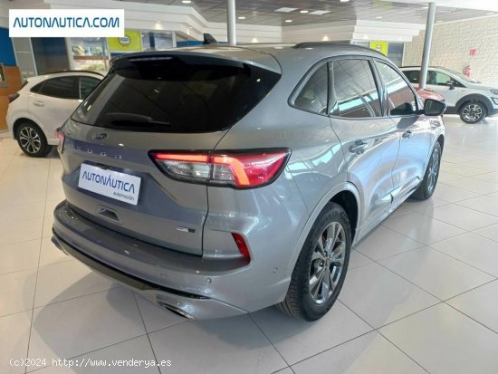 Ford Kuga 2.0 ecoblue mehv st-line fwd 150 - Villajoyosa