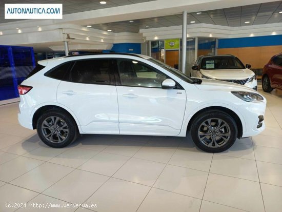 Ford Kuga Plug-in Hibrido 2.5 Duratec Phev St-line 4x2 - Villajoyosa