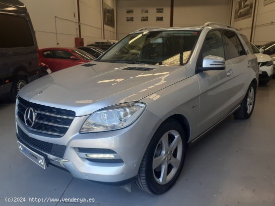 Mercedes Clase M 250 Bluetec 4 Matic - Reus