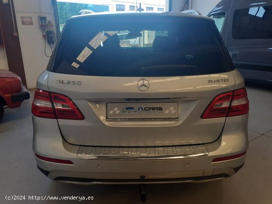 Mercedes Clase M 250 Bluetec 4 Matic - Reus