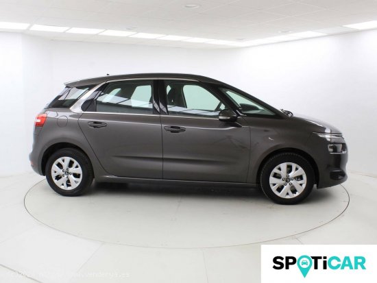 Citroën C4 Picasso  PureTech 130 S&S 6v Live Edition - Málaga