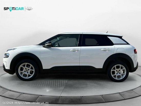 Citroën C4 Cactus  PureTech 110 S&S Feel - Leganés