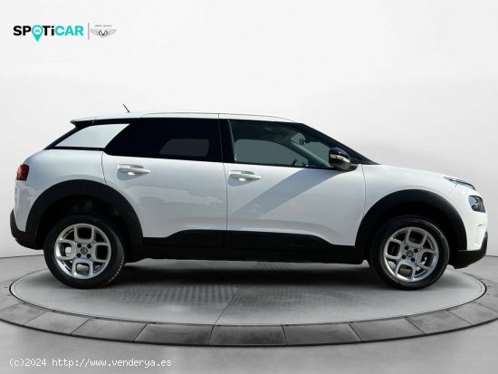 Citroën C4 Cactus  PureTech 110 S&S Feel - Leganés