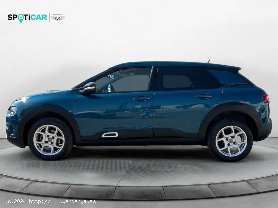 Citroën C4 Cactus  PureTech 81KW (110CV) S&S Shine - Leganés