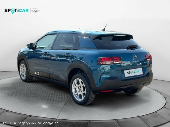 Citroën C4 Cactus  PureTech 81KW (110CV) S&S Shine - Leganés