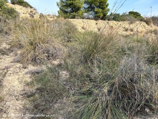 Parcela en Venta en Campello, El Alicante