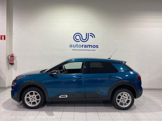 Citroën C4 Cactus PureTech 81KW (110CV) S&S Feel 110 CV - Terrassa