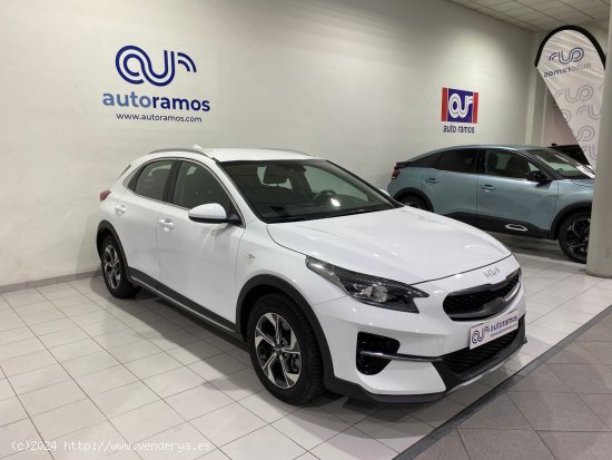 Kia XCeed CONCEPT 1.0 T-GDI 120 CV 5P - Terrassa