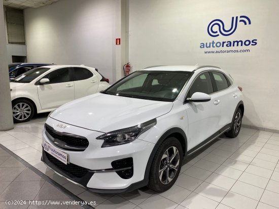 Kia XCeed CONCEPT 1.0 T-GDI 120 CV 5P - Terrassa