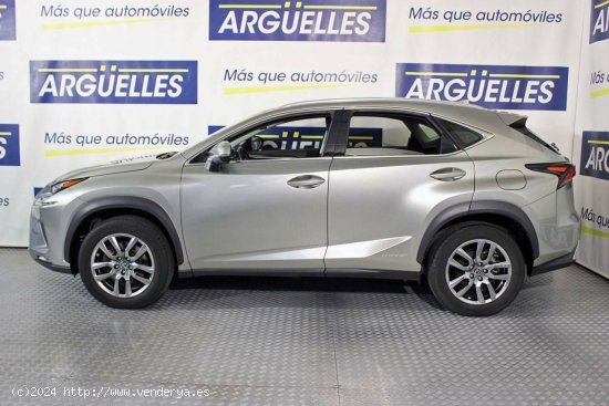 Lexus NX Executive Navigation 4WD 197cv - Madrid