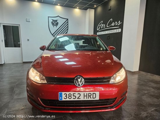 Volkswagen Golf 1.6TDI CR EDITION BM - Oliva