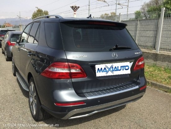 Mercedes Clase M  250 D BLUETEC 204 CV 4-MATIC - Baena