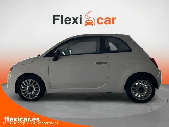 Fiat 500 Cult 1.0 Hybrid 52KW (70 CV) - Xátiva