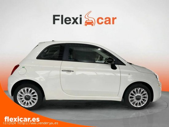 Fiat 500 Cult 1.0 Hybrid 52KW (70 CV) - Xátiva