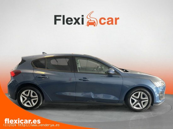 Ford Focus 1.5 Ecoblue 88kW Trend+ - Orihuela