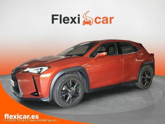 Lexus UX 2.0 250h Business - Las Rozas de Madrid