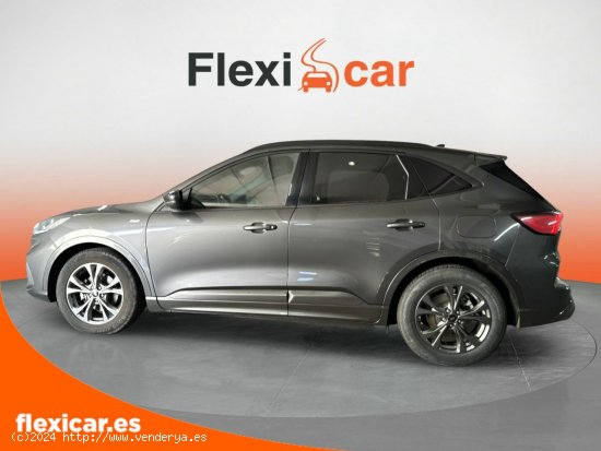 Ford Kuga ST-Line 1.5 EcoBlue 88kW (120CV) - Las Rozas de Madrid