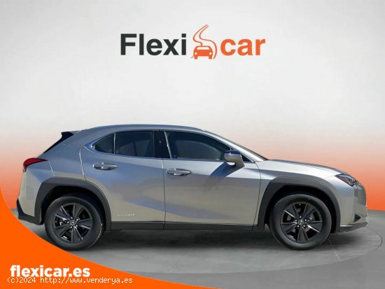 Lexus UX 2.0 250h Business Navigation - Talavera de la Reina