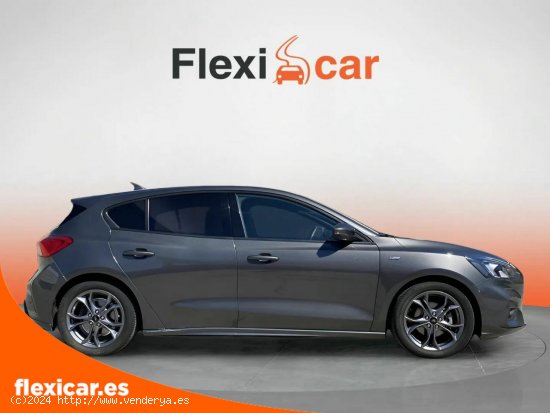 Ford Focus 1.0 Ecoboost 92kW ST-Line - Talavera de la Reina