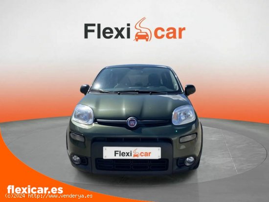 Fiat Panda Sport Hybrid 1.0 Gse 51kw (70CV) - Segovia