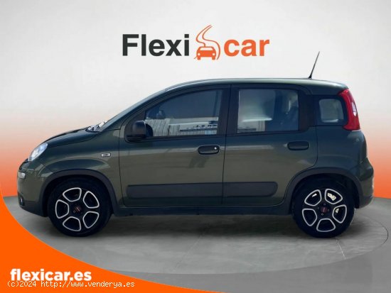 Fiat Panda Sport Hybrid 1.0 Gse 51kw (70CV) - Segovia