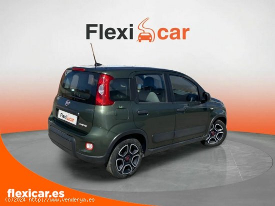 Fiat Panda Sport Hybrid 1.0 Gse 51kw (70CV) - Segovia