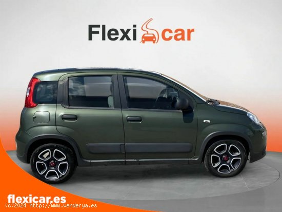 Fiat Panda Sport Hybrid 1.0 Gse 51kw (70CV) - Segovia