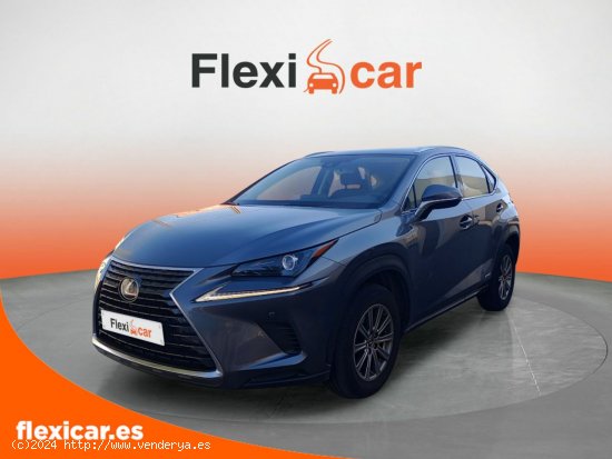 Lexus NX 2.5 300h Business 2WD - Madrid