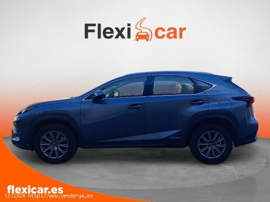 Lexus NX 2.5 300h Business 2WD - Madrid