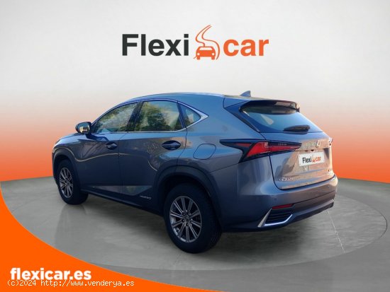 Lexus NX 2.5 300h Business 2WD - Madrid