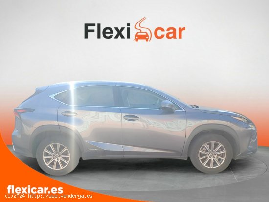 Lexus NX 2.5 300h Business 2WD - Madrid