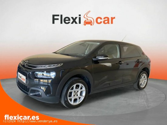 Citroën C4 Cactus BlueHDi 73KW (100CV) Feel - Puebla de Sancho Pérez