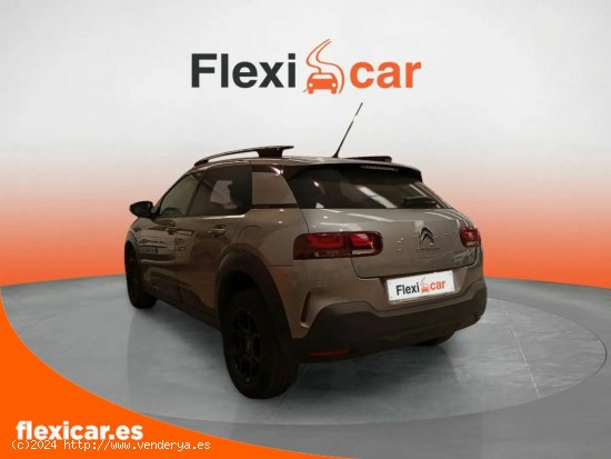 Citroën C4 Cactus PureTech 110 S&S Shine - Roquetas de Mar