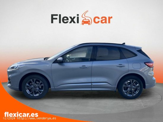 Ford Kuga ST-Line 1.5T EcoBoost 110kW (150CV) - Pamplona