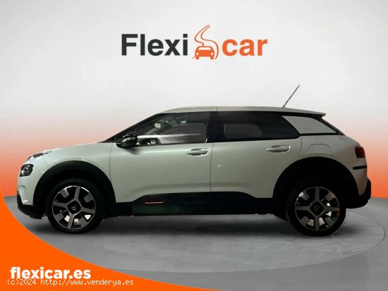 Citroën C4 Cactus PureTech 81KW (110CV) S&S EAT6 Shine - San Sebastián de los Reyes