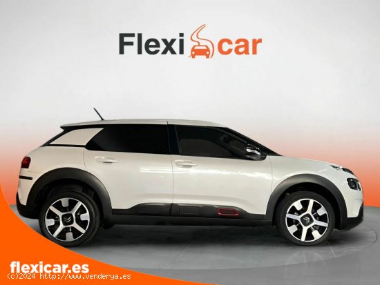 Citroën C4 Cactus PureTech 81KW (110CV) S&S EAT6 Shine - San Sebastián de los Reyes