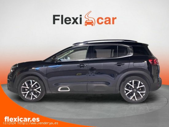 Citroën C5 Aircross 225 e-EAT8 Shine - 5 P (2023) - Sant Just Desvern