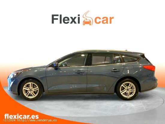 Ford Focus 1.0 Ecoboost 92kW ST-Line Auto SportBr - Alicante