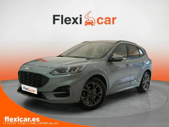 Ford Kuga ST-Line 1.5T EcoBoost 110kW (150CV) - Pinto