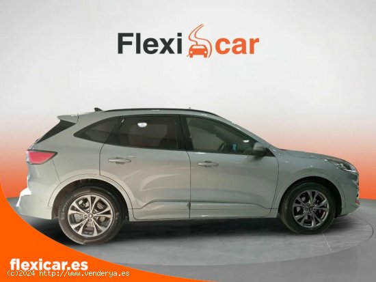 Ford Kuga ST-Line 1.5T EcoBoost 110kW (150CV) - Pinto