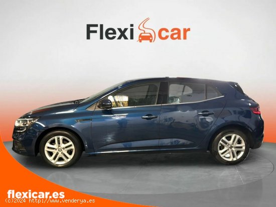 Renault Megane Business Blue dCi 70 kW (95CV) - Marbella